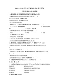 【小升初真题卷】2020-2021学年河南省登封市部编版六年级下册期末考试道德与法治试卷（原卷版+解析版）