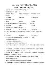 【小升初真题卷】2021-2022学年河南省郑州市登封市部编版六年级下册期末学业水平测试道德与法治试卷（原卷版+解析版）