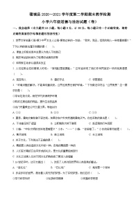 【小升初真题卷】2020-2021学年陕西省渭南市蒲城县部编版六年级下册期末教学检测道德与法治试卷（原卷版+解析版）