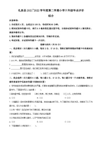 【小升初真题卷】2021-2022学年陕西省咸阳市礼泉县部编版六年级下册期末学科素养评价道德与法治试卷（原卷版+解析版）