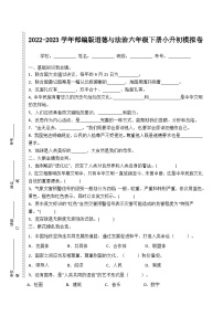 2022-2023学年部编版道德与法治六年级下册小升初模拟卷三（原卷板+解析版）