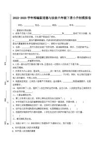 2022-2023学年部编版道德与法治六年级下册小升初模拟卷二（原卷板+解析版）