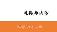 小学政治 (道德与法治)3 公民意味着什么示范课课件ppt