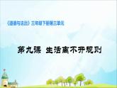道德与法治三年级下《生活离不开规则》说课课件