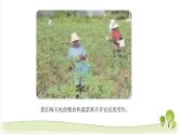 人教版部编版四年级道德与法治下册《9.生活离不开他们》精美PPT课件第1课时