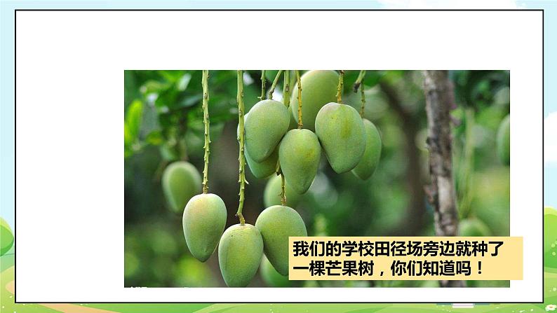 道法部编版五四学制4.说说我们的学校 第一课时 课件+教案07