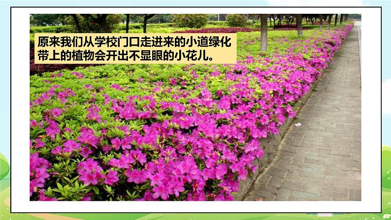 道法部编版五四学制4.说说我们的学校 第一课时 课件+教案08