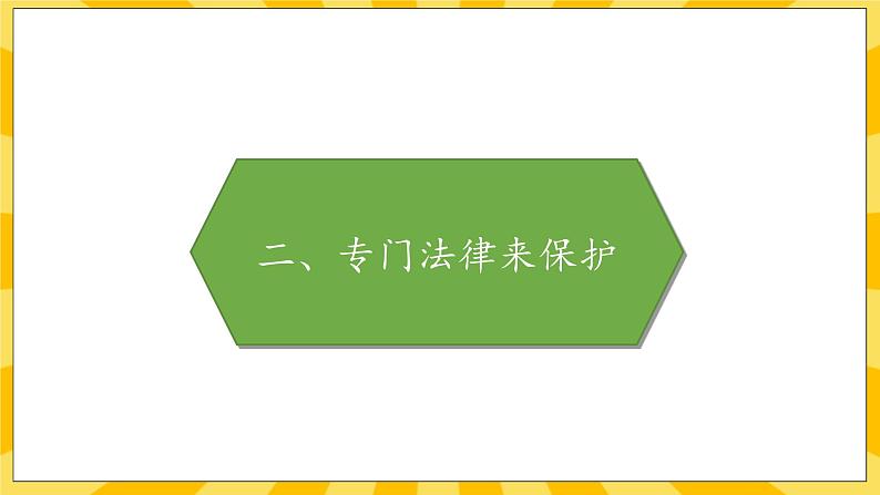 部编版道德与法治六年级上册8《我们受特殊保护》课件07