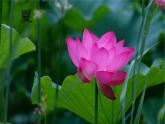部编版道德与法治一年级上册课件美丽的冬天2