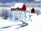 部编版道德与法治一年级上册课件美丽的冬天2