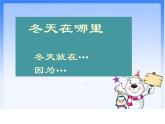 部编版道德与法治一年级上册课件美丽的冬天3