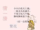 部编版道德与法治一年级上册课件美丽的冬天3
