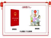 道德与法治六年级上册 1.感受生活中的法律 课件