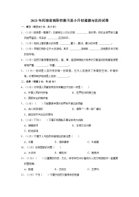 2023年河南省南阳市淅川县小升初道德与法治试卷（含答案解析）