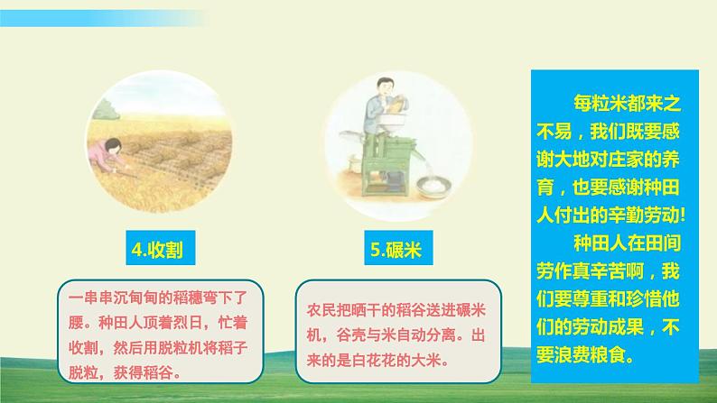 四年级下册道德与法治7我们的衣食之源课件第6页