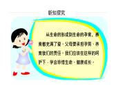 部编版道德与法治三年级上册 7.生命最宝贵 同步课件
