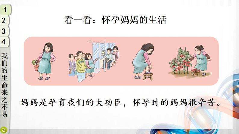 三年级道德与法制上册7《生命最宝贵》课件+教案+学案06