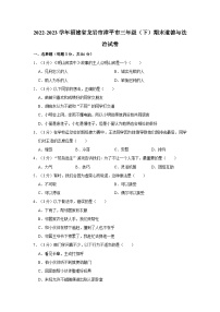 2022-2023学年福建省龙岩市漳平市三年级下学期期末道德与法治试卷（含解析）