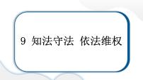 人教部编版六年级上册9 知法守法，依法维权作业ppt课件