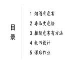 小学道德与法治部编版五年级上册3 主动拒绝烟酒与毒品教学课件（2023秋）