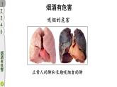 小学道德与法治部编版五年级上册3 主动拒绝烟酒与毒品教学课件（2023秋）