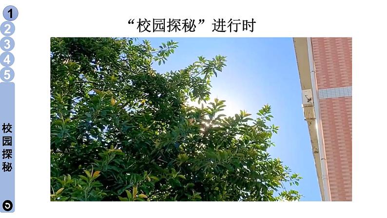 小学道德与法治部编版一年级上册5 我们的校园教学课件（2023秋）第6页