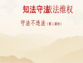 4.9守法不违法课件