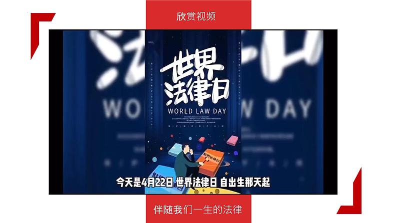 部编版道德与法治六年级上册 1感受生活中的法律  第二课时 课件第5页