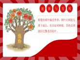 部编版道德与法治六年级上册 2宪法是根本法  第二课时 课件+教案
