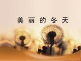 一年级上册4.13《 美丽的冬天》  课件