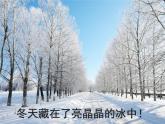 一年级上册4.13《 美丽的冬天》  课件