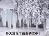 一年级上册4.13《 美丽的冬天》  课件