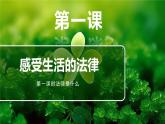 1.1 法律是什么-2023-2024学年六年级道德与法治上册精美课件
