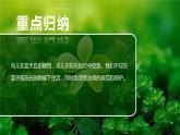 1.1 法律是什么-2023-2024学年六年级道德与法治上册精美课件