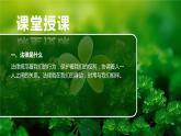 1.1 法律是什么-2023-2024学年六年级道德与法治上册精美课件