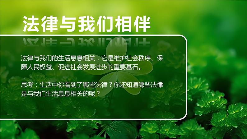 1.1 法律是什么-2023-2024学年六年级道德与法治上册精美课件06