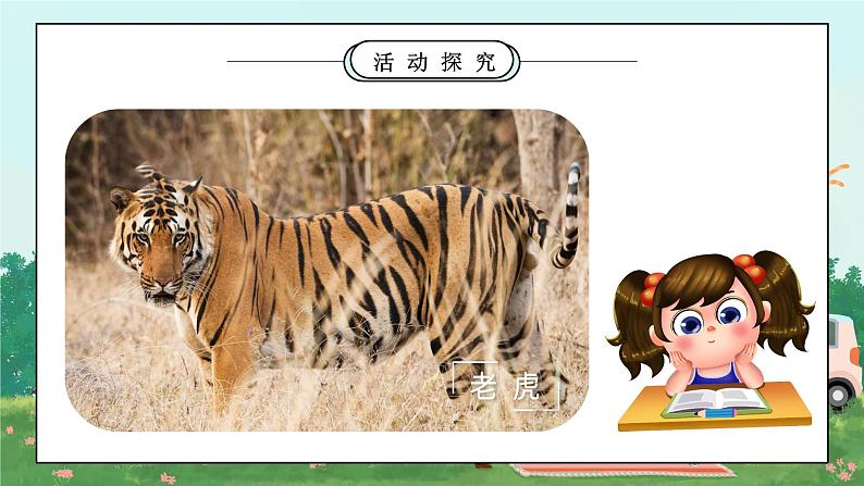 第七课《可爱的动物》课件+教案08