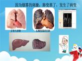 《主动拒绝烟酒与毒品》课件
