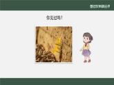 小学道德与法治二年级下册4 试种一粒籽1 (2)课件