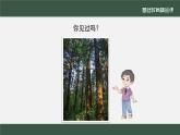 小学道德与法治二年级下册4 试种一粒籽1 (2)课件