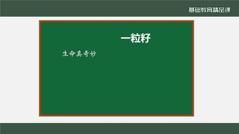 小学道德与法治二年级下册4 试种一粒籽1 (2)课件第7页