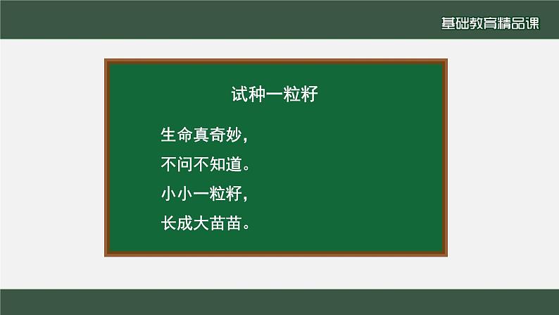 小学道德与法治二年级下册4 试种一粒籽2 (2)课件第2页