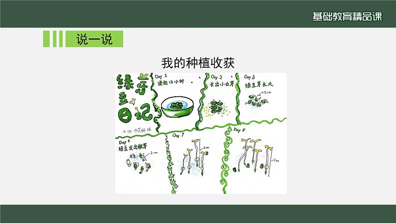 小学道德与法治二年级下册4 试种一粒籽2 (2)课件第7页