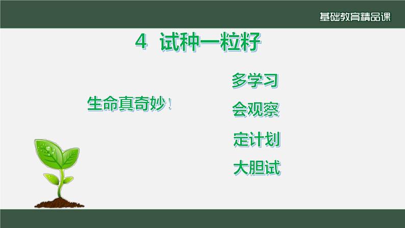 小学道德与法治二年级下册4 试种一粒籽2课件第2页