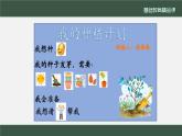 小学道德与法治二年级下册4 试种一粒籽2课件
