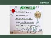 小学道德与法治二年级下册4 试种一粒籽2课件