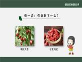 小学道德与法治二年级下册14家乡物产养育我1课件