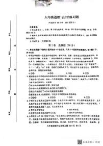 山东省泰安市岱岳区（五四制）2023-2024学年六年级上学期11月期中道德与法治试题