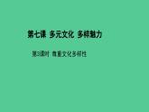多元文化多样魅力（第三课时）精品课件ppt