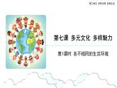 多元文化多样魅力（第一课时） 精品课件